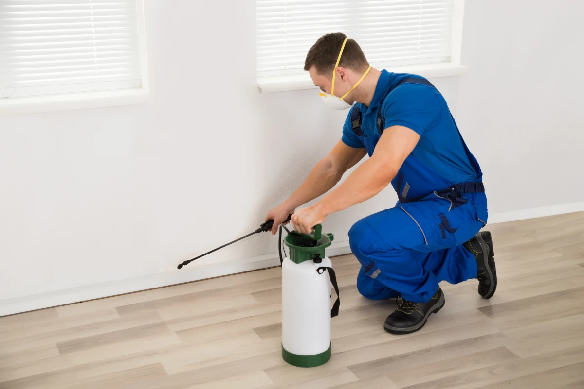Professional Pest Control Contractor